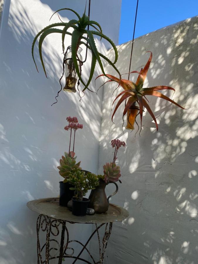 Gelukkie Hotel Paternoster Luaran gambar